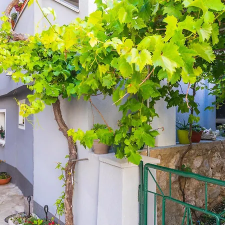 Appartement Vida 1floor In The Old Part Of Baška